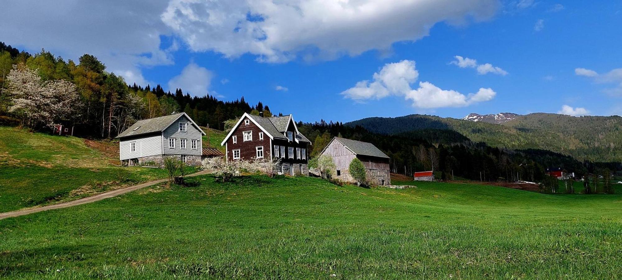 Heggjabygda Gjestegard, Нурфьордэйд Экстерьер фото