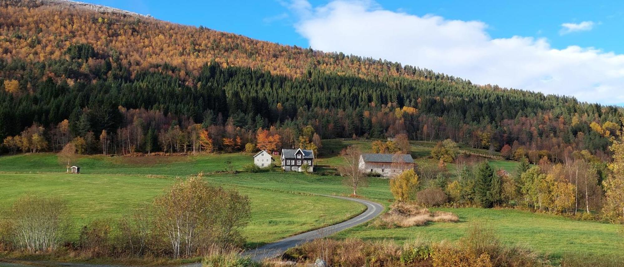 Heggjabygda Gjestegard - Historisk Tommerhus I Landlige Omgivelser Нурфьордэйд Экстерьер фото